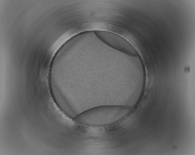 X0000110940901200907311013