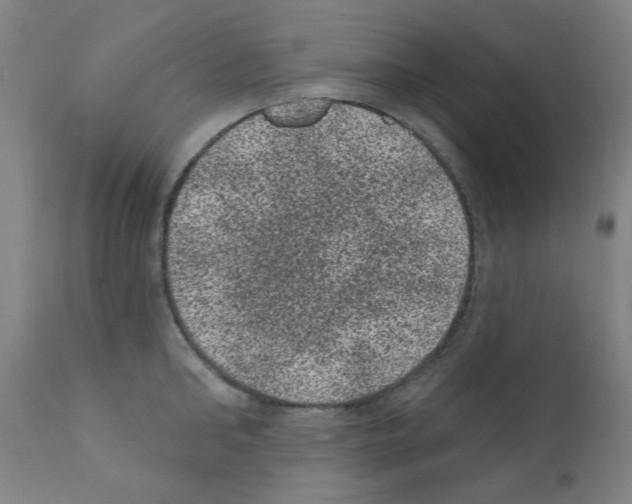 X0000110940902200907311013