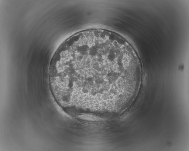 X0000110940903200907311013