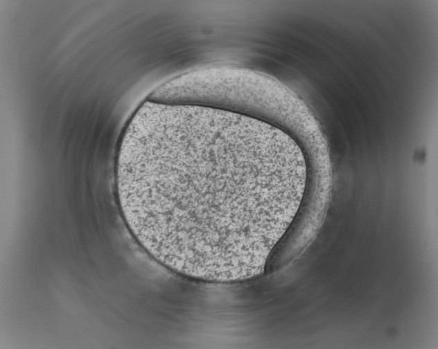 X0000110940904200907311013