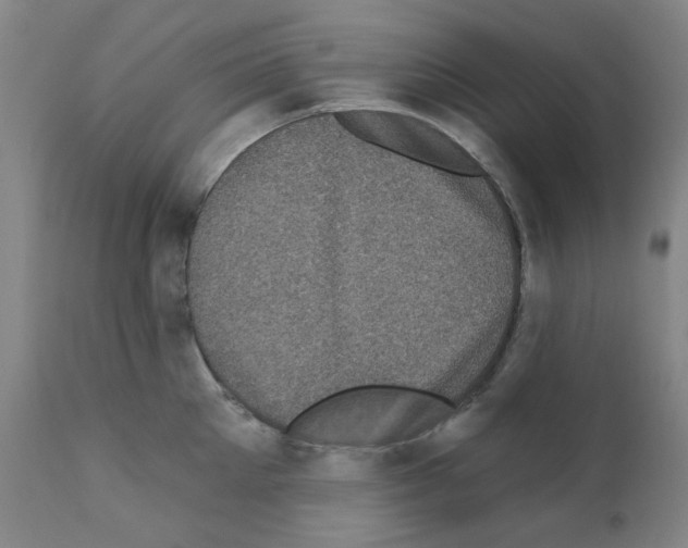X0000110940905200907311013