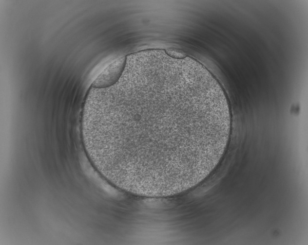 X0000110940906200907311013