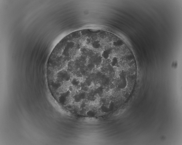X0000110940907200907311013
