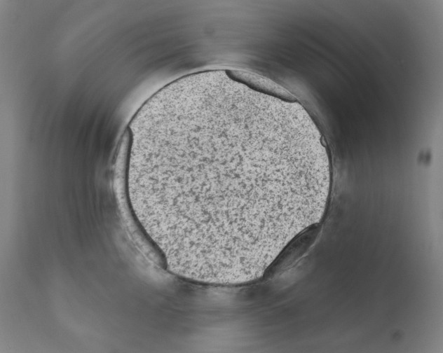 X0000110940908200907311013