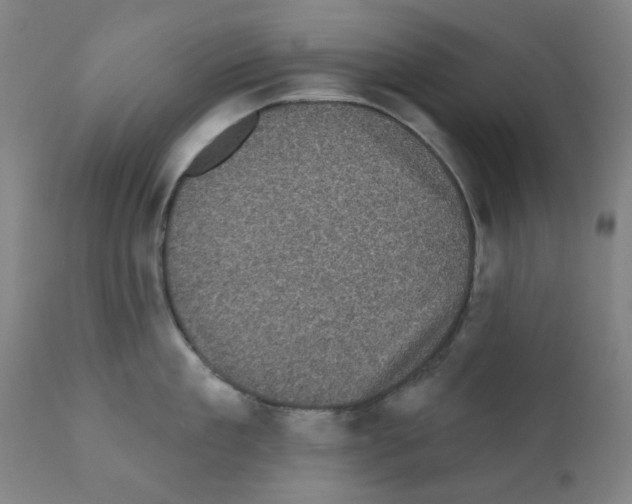X0000110940909200907311013