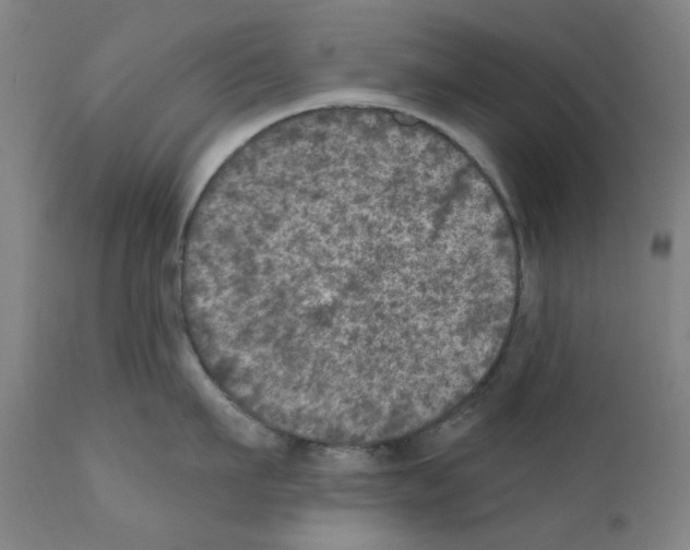 X0000110940911200907311013