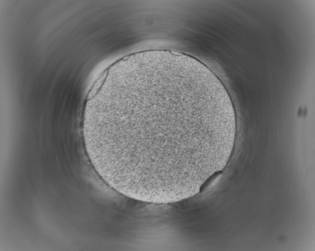 X0000110940912200907311013