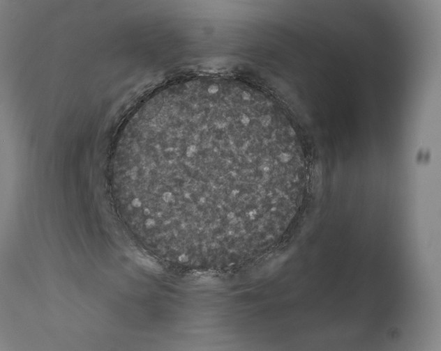 X0000110940913200907311012