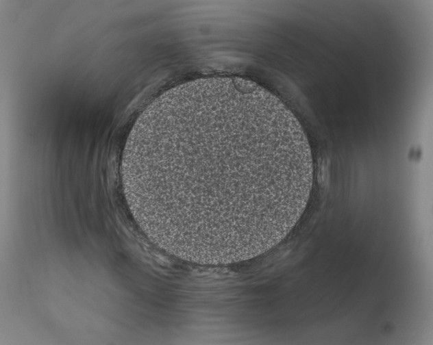 X0000110940915200907311012