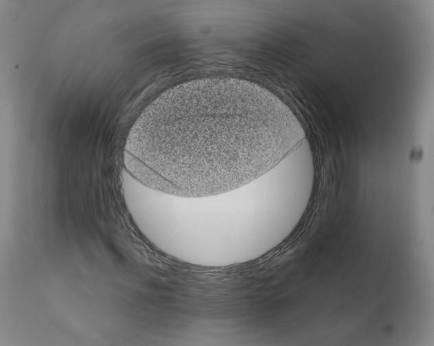X0000110940916200907311012