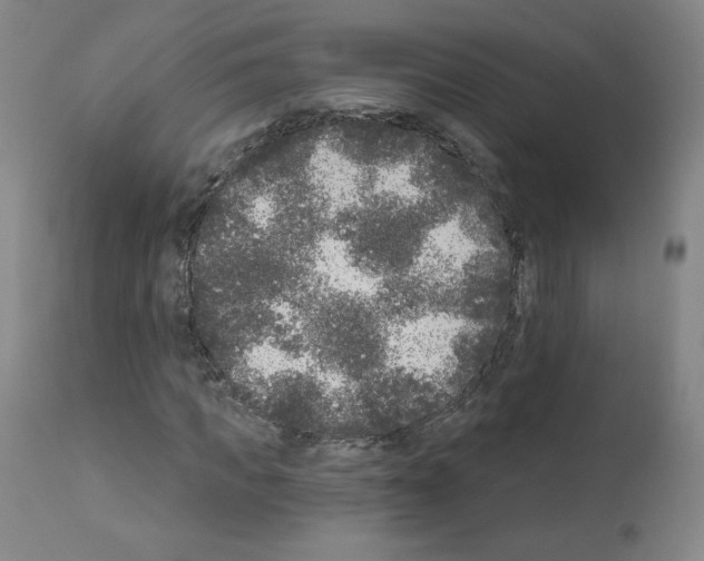 X0000110940917200907311013