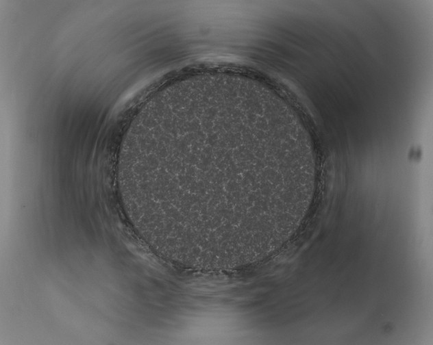 X0000110940919200907311013