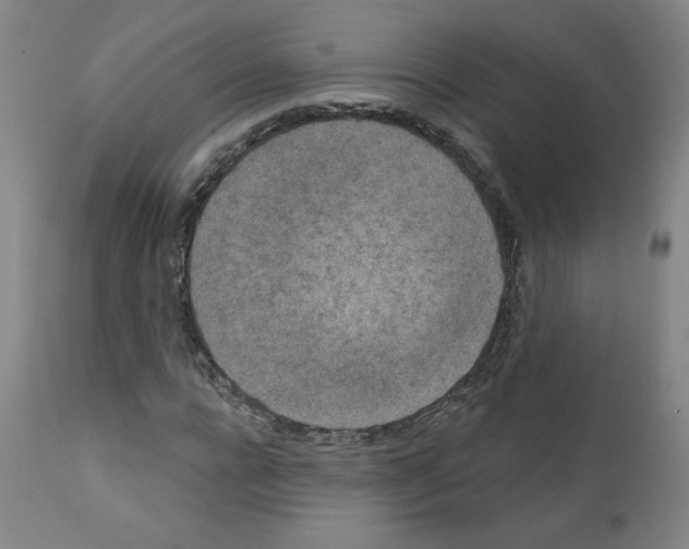 X0000110940920200907311013