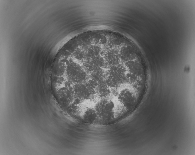 X0000110940921200907311013