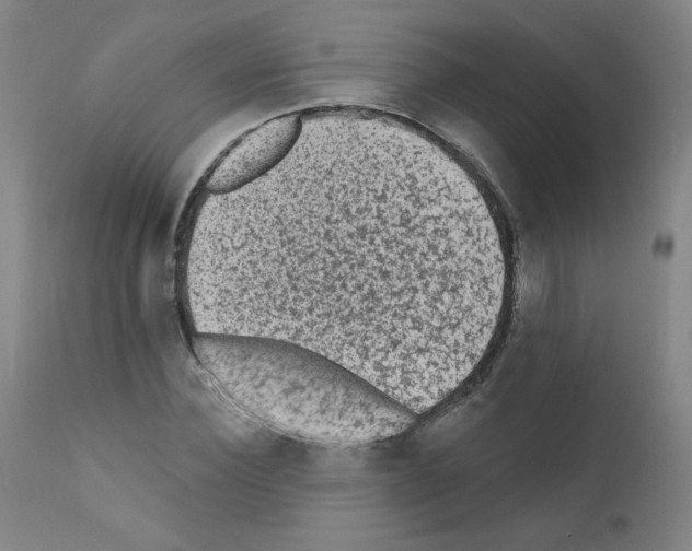 X0000110940924200907311013