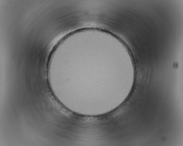 X0000110940927200907311013