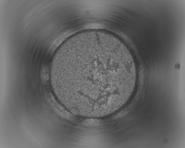X0000110940929200907311013