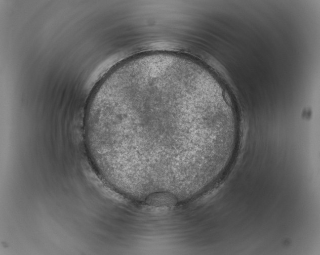 X0000110940930200907311013