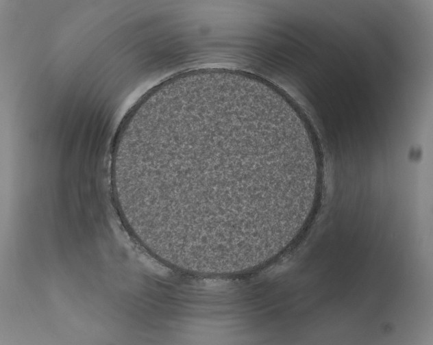 X0000110940933200907311013
