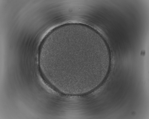 X0000110940934200907311013