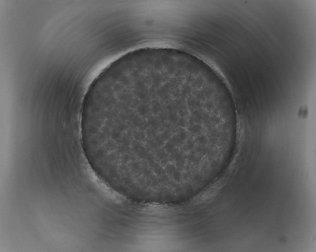 X0000110940935200907311013