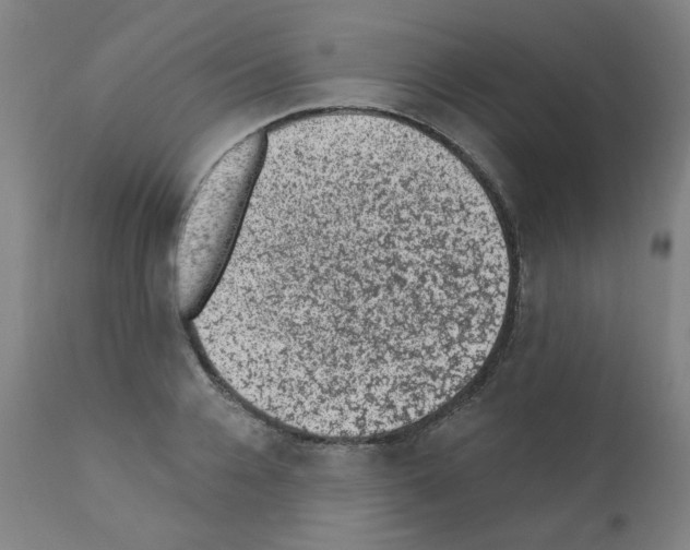 X0000110940936200907311013