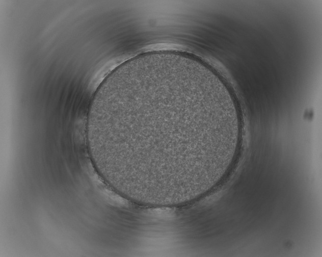 X0000110940937200907311013