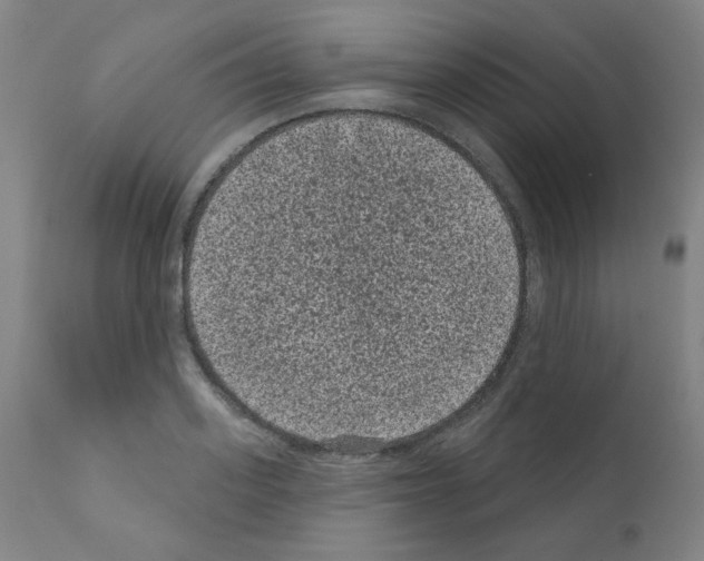X0000110940939200907311013