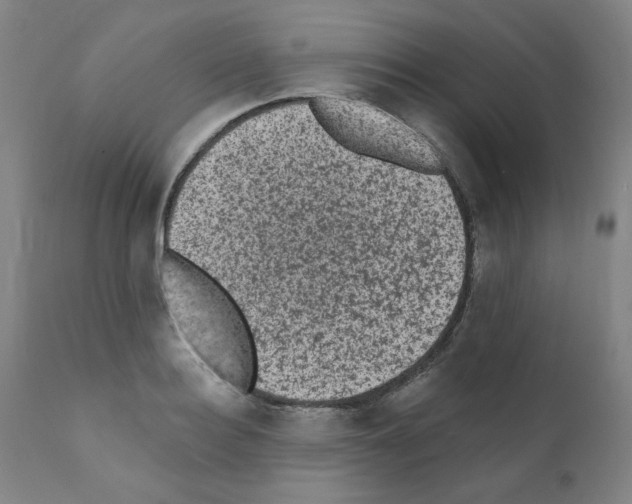 X0000110940940200907311013