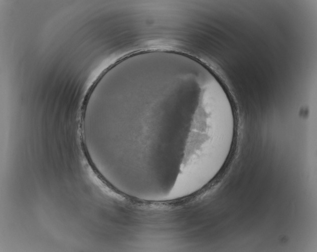 X0000110940941200907311013