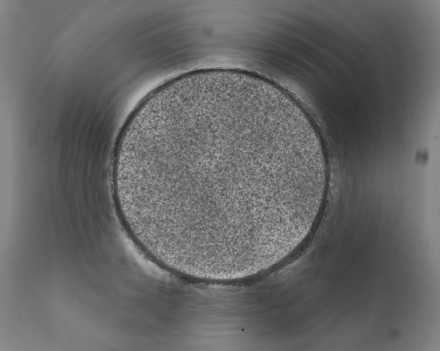 X0000110940942200907311013