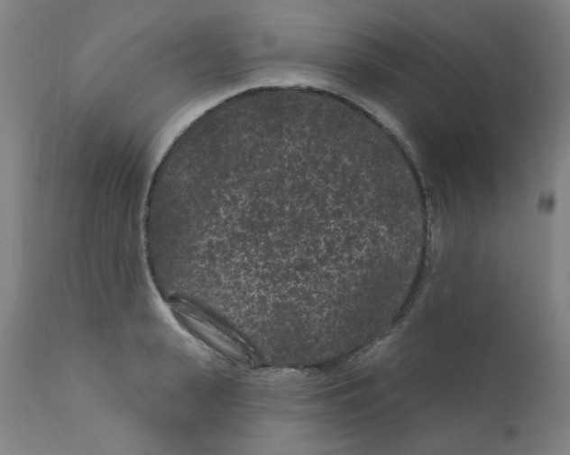 X0000110940943200907311013