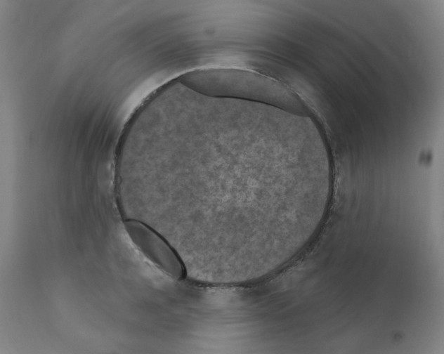X0000110940944200907311013