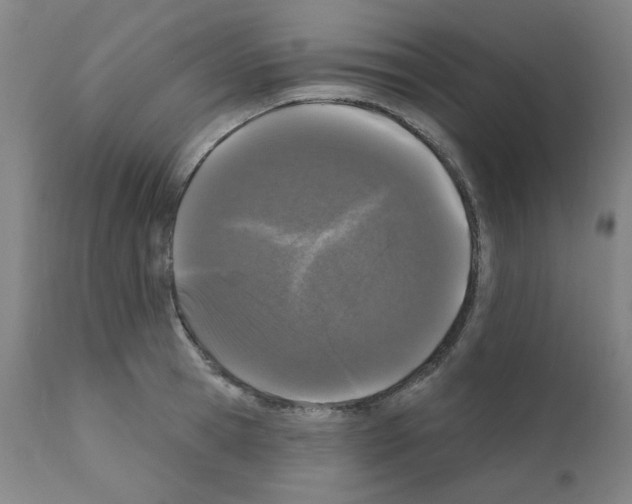 X0000110940945200907311013