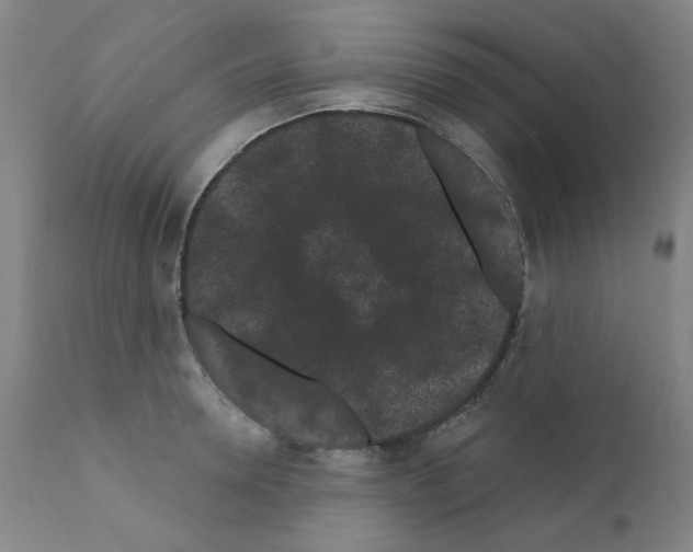 X0000110940946200907311013