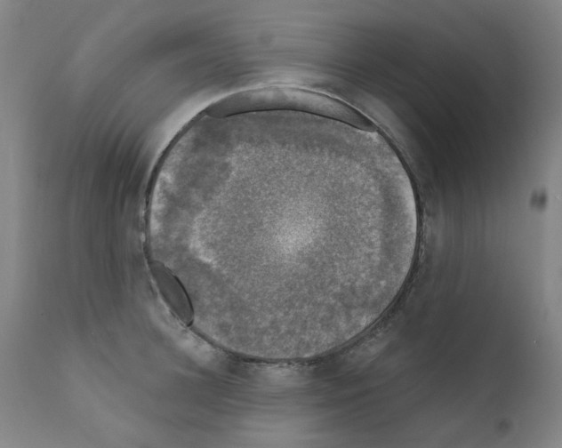 X0000110940948200907311013