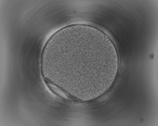 X0000110940951200907311013