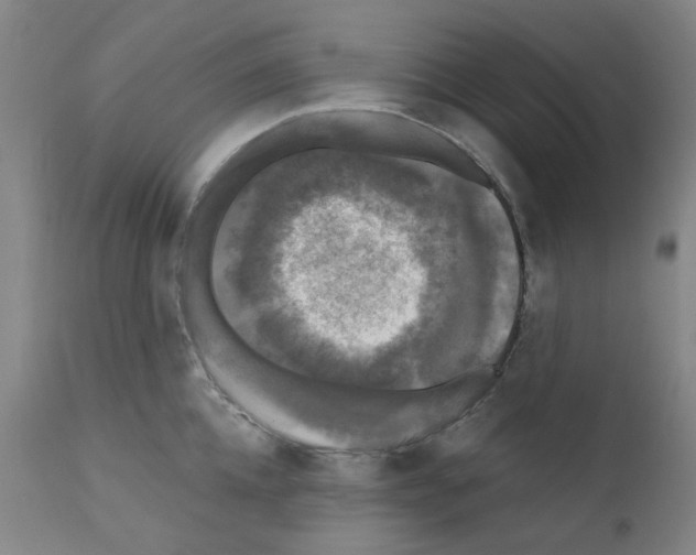 X0000110940952200907311013