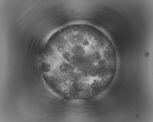X0000110940953200907311013