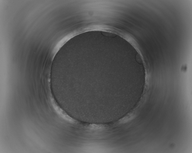 X0000110940954200907311013