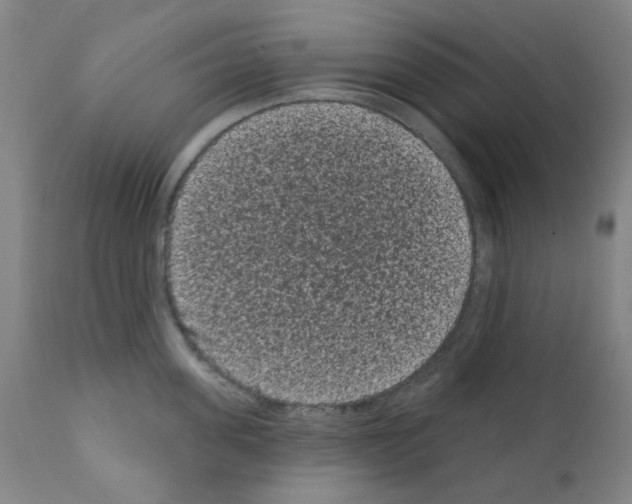 X0000110940955200907311013
