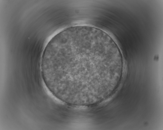 X0000110940957200907311013