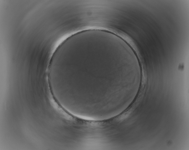 X0000110940958200907311013