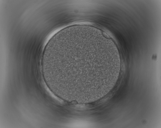 X0000110940959200907311013