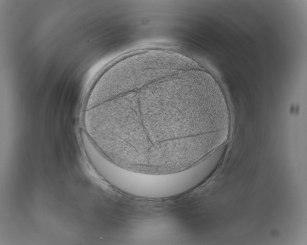 X0000110940960200907311013