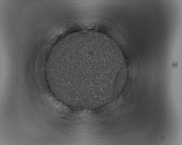 X0000110940961200907311012