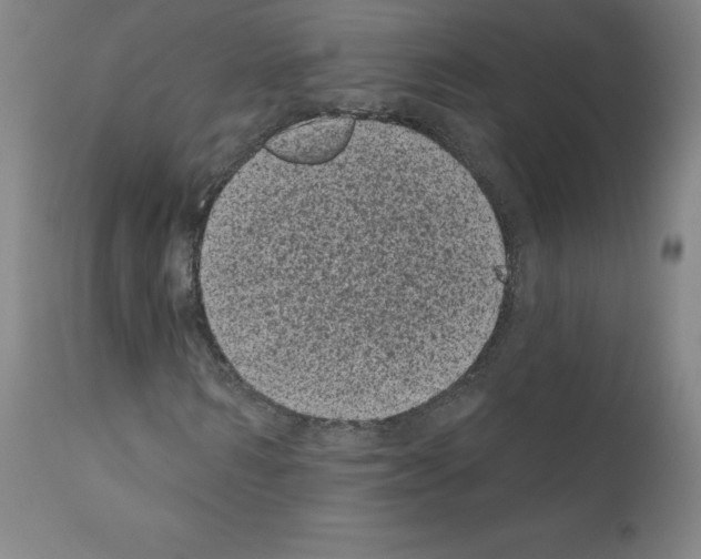 X0000110940962200907311012
