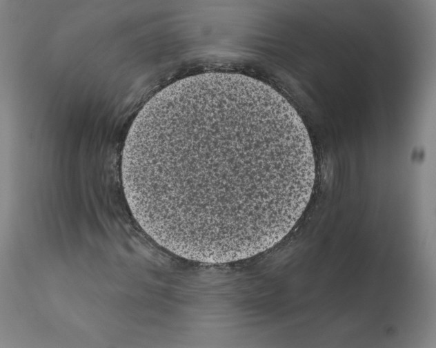 X0000110940964200907311012