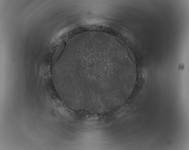 X0000110940965200907311012