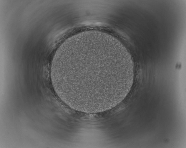 X0000110940966200907311012